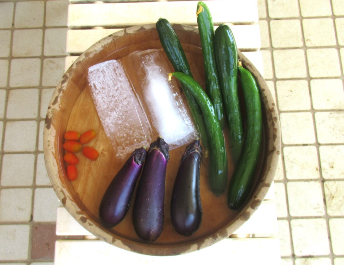 「2025年夏の野菜のサムネイル」