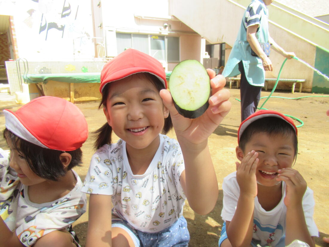 「春から夏の食育　５歳児　その３のサムネイル」